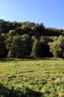 Fotografie z Januar Y na trase