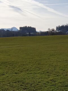 Landberg mit Säntis und rechts der Dreieckbaum