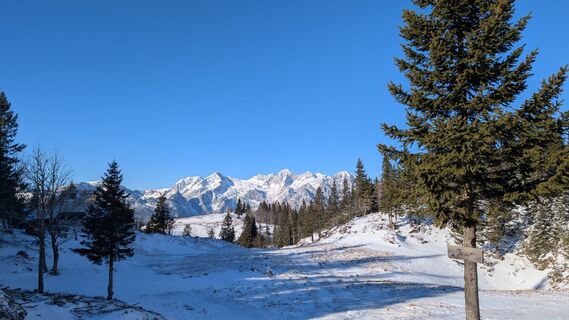 Photo de Stubi le long du parcours