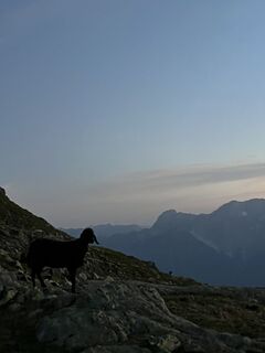 Photo de Jody Kromoser le long du parcours
