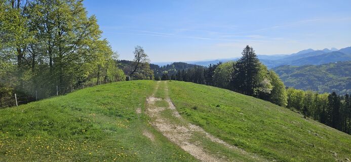 Foto de Hs Starzengruber a lo largo del recorrido