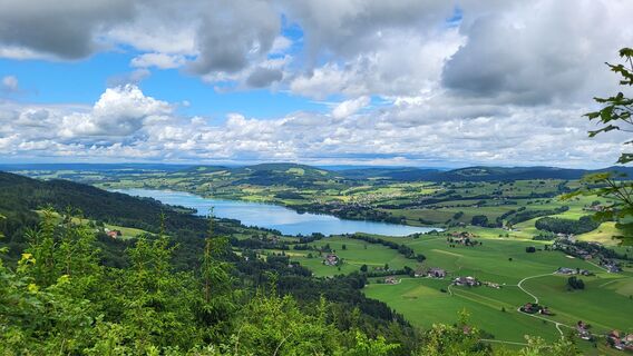 Foto von Eva Maria Groß entlang der Tour