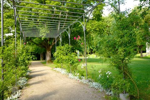 Rosenbogen im Schlosspark Buseck