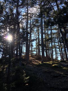 Foto von stalisfield entlang der Tour