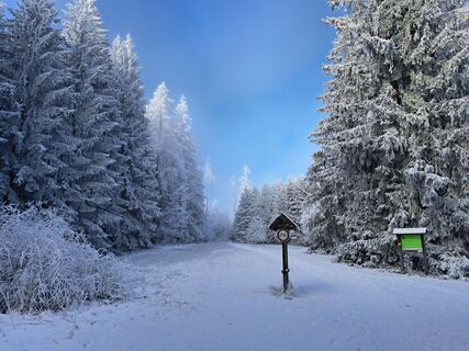 Фото с сайта Rudi во время экскурсии