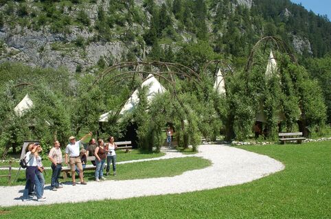 Besucher im Weidendom