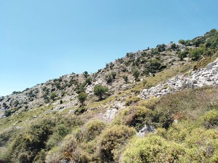 Photo de MopsBiene le long du parcours