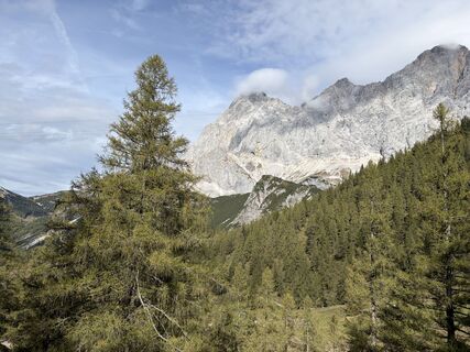 Fotografija s spletne strani sinko na poti