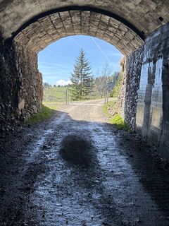 Fotografija s spletne strani Ewald Zweifel na poti