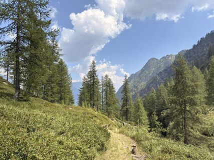 Foto von Koen De Wit entlang der Tour