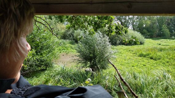 Molbath - NABU-Biotop