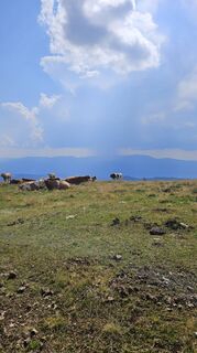 Foto von Susanne19 entlang der Tour