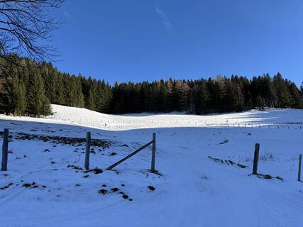 Foto von Peda entlang der Tour
