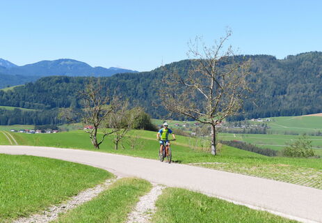 Auffahrt nach Lindau