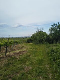 Fotografia z Maxspeed na trase