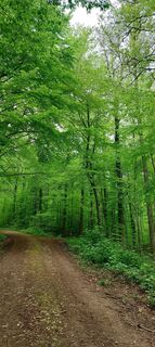 Photo de Jean-François Goujon le long du parcours