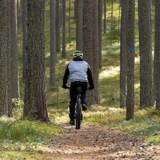 Mountainbiker auf der Strecke im Kotisalo-Naturreservat