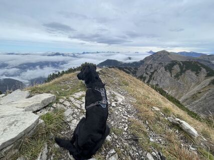Photo de christian.roeckl le long du parcours