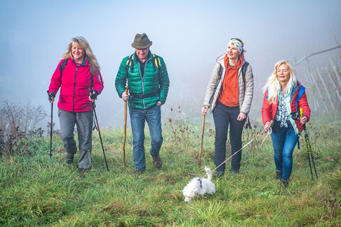 Wandergruppe bei Nebel