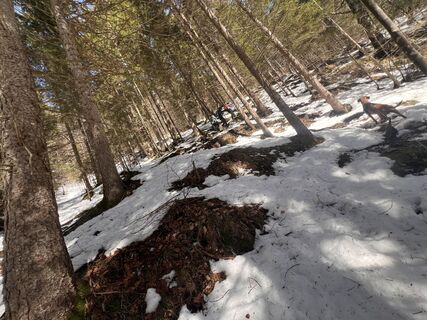 Photo de Kattl le long du parcours