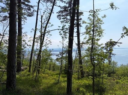 Park 40 - Park der Schützengräben und des Litorals