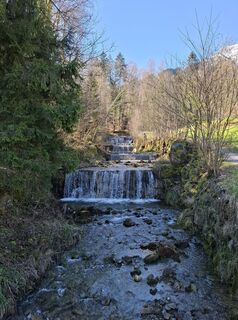 Photo de Maurer Silvia le long du parcours