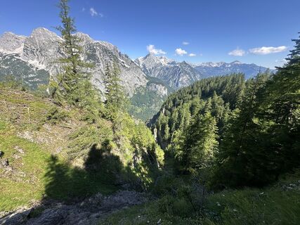 Fotografija s spletne strani Martin na poti