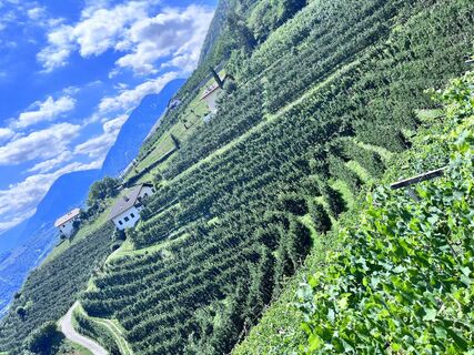 Foto von Jürgen Clement entlang der Tour