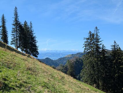 Foto von WolBo entlang der Tour