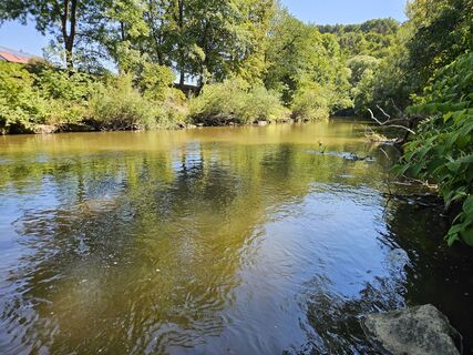 Fotó a Franz Russ honlapról a túra során