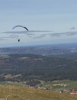 Foto de Denise Miller a lo largo del recorrido