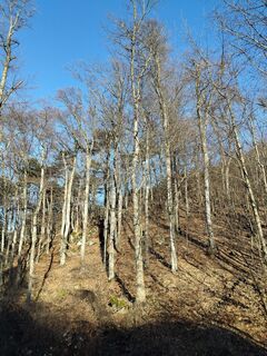 Fotografie z Poschacher na trase