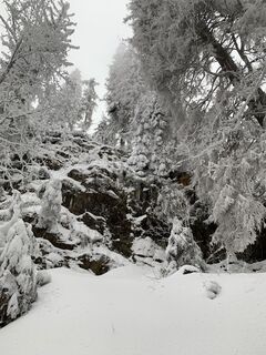 Foto från Kristina  1 under resans gång