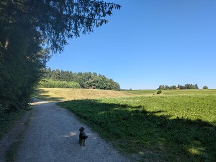Foto de Eva Oppermann a lo largo del recorrido