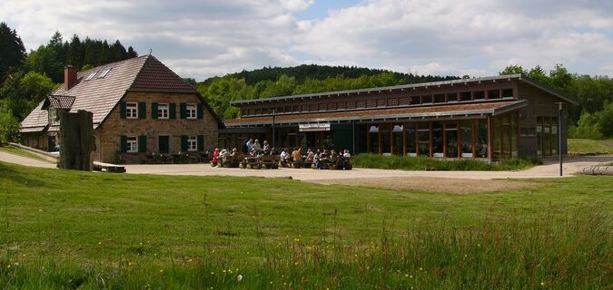 Hammerhof