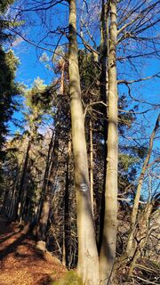 Foto von Elisabeth Rossa entlang der Tour