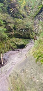 Foto von Moni entlang der Tour