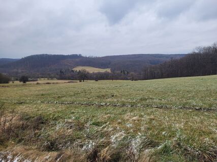 Photo de mmecki le long du parcours