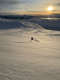 Fotografija s spletne strani Nicky Enders na poti
