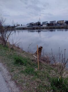 Foto von Melanie Pippan entlang der Tour