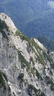 Photo de Mountain Cat ? ⛰️ le long du parcours