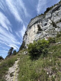 Photo de Nina Wolf le long du parcours