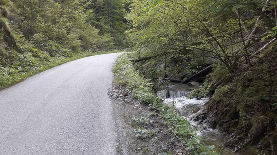 Nestelbergbach