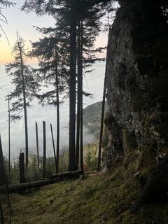 Fotografija s spletne strani Aurelian Böhler na poti