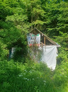 Photo de wanderelke le long du parcours