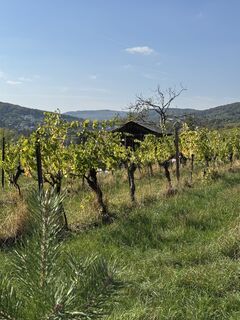 Foto von Iulia Rubtsova entlang der Tour