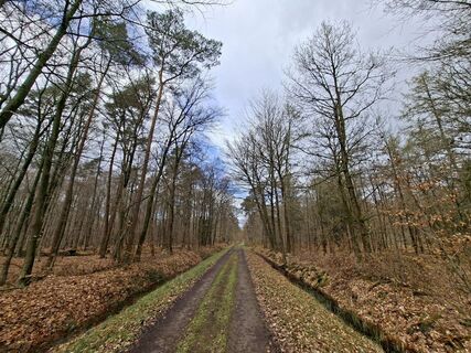 Foto de Keramiek a lo largo del recorrido