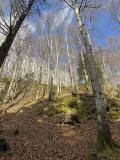 Foto de Denise Miller a lo largo del recorrido