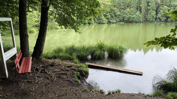 Foto von WilliSt entlang der Tour