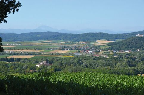 Blick über das Dorf zum Schloss Albrechtsberg